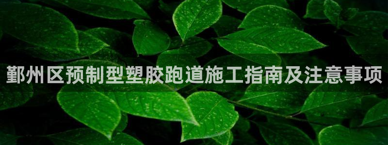 红足一1世手机版赛果