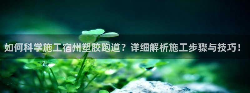 红足一1世666814最新结果：如何科学施工宿州塑胶跑道？详细解析施工步骤与技巧！