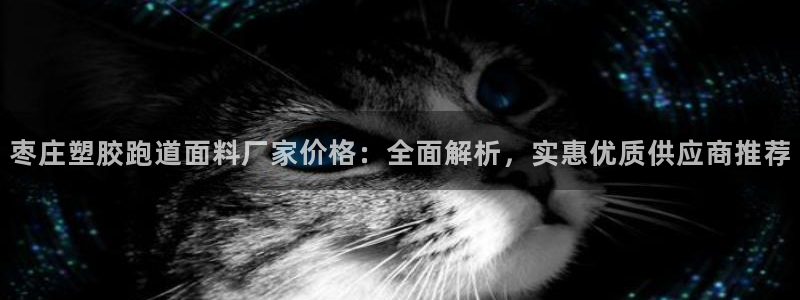 红足一1世手机皇冠：枣庄塑胶跑道面料厂家价格：全面解析，实惠优质供应商推荐