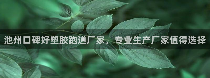 红足一1世皇冠地址：池州口碑好塑胶跑道厂家，专业生产厂家值得选择