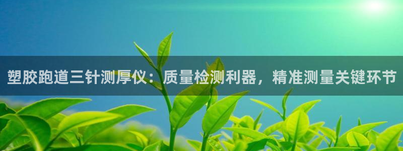 4633333开奖结果4176一点红：塑胶跑道三针测厚仪：质量检测利器，精准测量关键环节