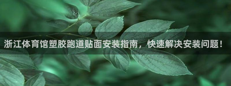 红足一球：浙江体育馆塑胶跑道贴面安装指南，快速解决安装问题！