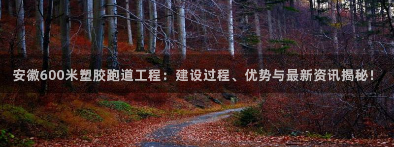 红足1一世足球手机：安徽600米塑胶跑道工程：建设过程、优势与最新资讯揭秘！