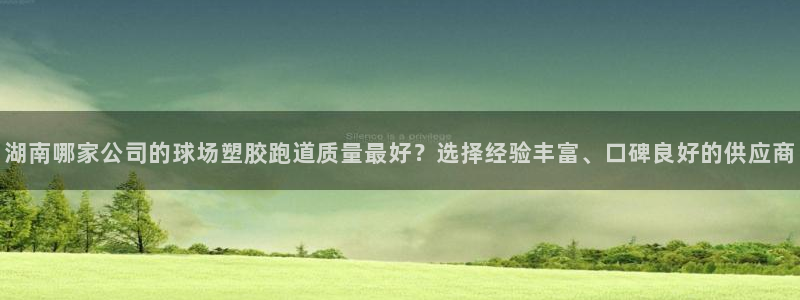 红足一1世官网：湖南哪家公司的球场塑胶跑道质量最好？选择经验丰富、口碑良好的供应商