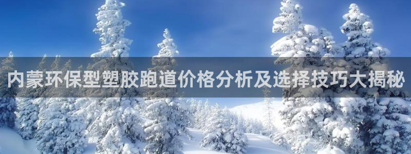 红足一1世皇冠：内蒙环保型塑胶跑道价格分析及选择技巧大揭秘