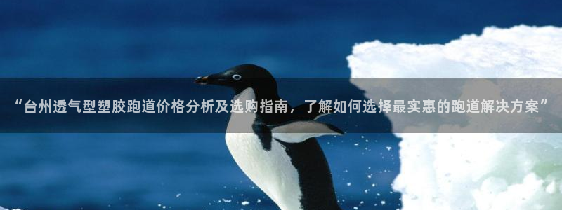 红足1世1站2站管理网：“台州透气型塑胶跑道价格分析及选购指南，了解如何选择最实惠的跑道解决方案”