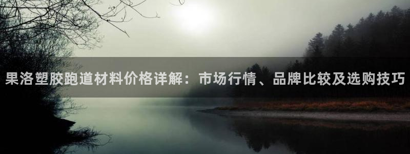 红足一一世：果洛塑胶跑道材料价格详解：市场行情、品牌比较及选购技巧