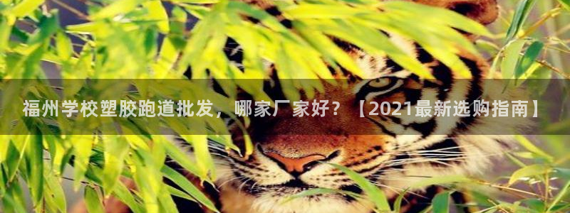 777814红·足一世：福州学校塑胶跑道批发，哪家厂家好？【2021最新选购指南】