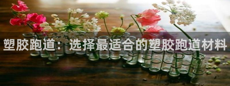 红足1一世 2站：塑胶跑道：选择最适合的塑胶跑道材料