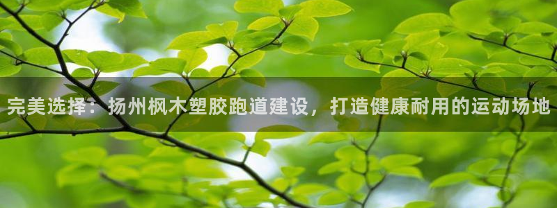 红足1世足球比分网址：完美选择：扬州枫木塑胶跑道建设，打造健康耐用的运动场地