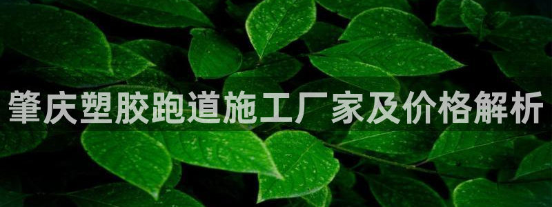 红足一1世66814新宝：肇庆塑胶跑道施工厂家及价格解析