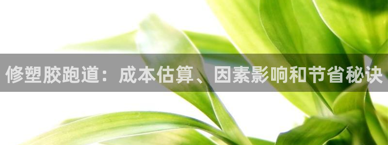 红足i世足球手机网：修塑胶跑道：成本估算、因素影响和节省秘诀