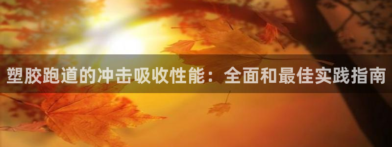 红足一1世皇冠：塑胶跑道的冲击吸收性能：全面和最佳实践指南