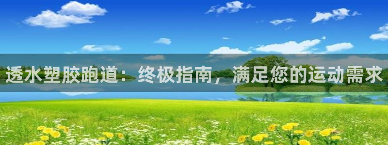 55814红足1世：透水塑胶跑道：终极指南，满足您的运动需求