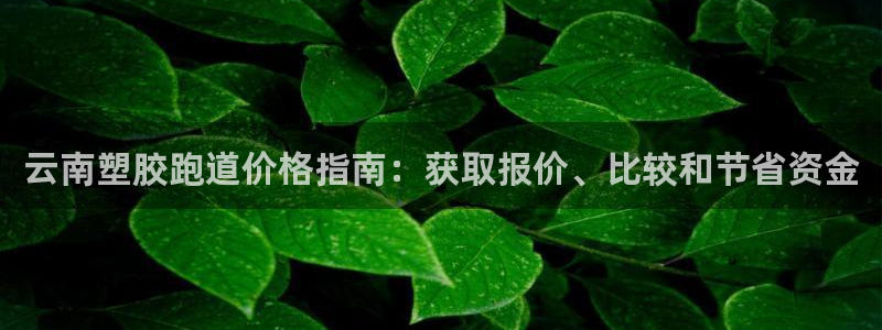 红足一1世手机皇冠