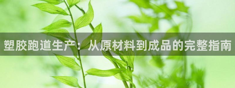 红足一1世比分：塑胶跑道生产：从原材料到成品的完整指南