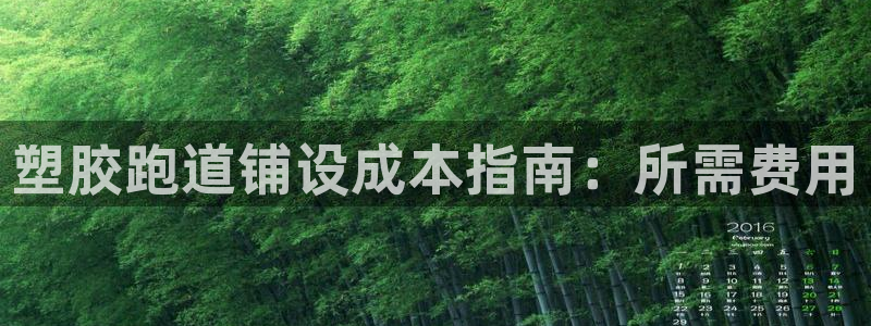 红足一1世手机开奖：塑胶跑道铺设成本指南：所需费用