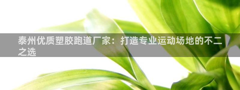 红足1世1站2站管理网：泰州优质塑胶跑道厂家：打造专业运动场地的不二
之选