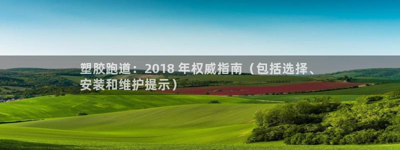 红足足球网：塑胶跑道：2018 年权威指南（包括选择、
安装和维护提示）