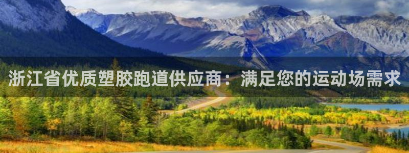 红足1世1站：浙江省优质塑胶跑道供应商：满足您的运动场需求