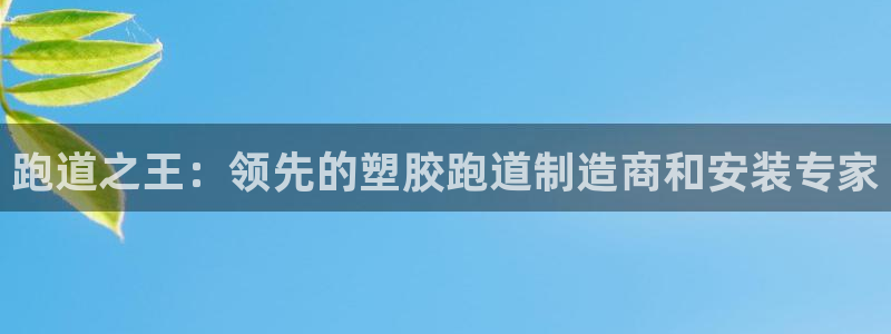 红足1世足球：跑道之王：领先的塑胶跑道制造商和安装专家