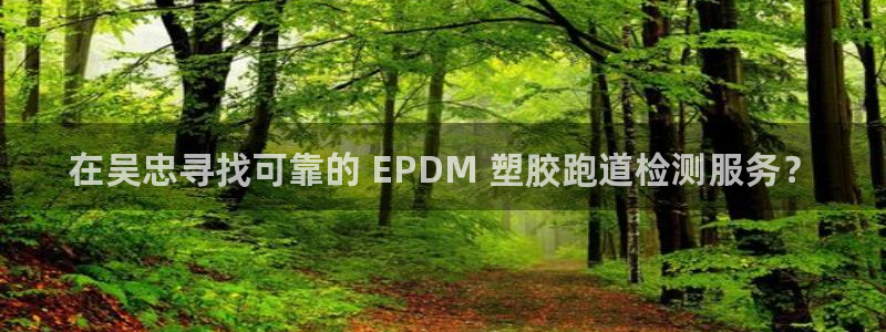 红足网足球直播：在吴忠寻找可靠的 EPDM 塑胶跑道检测服务？