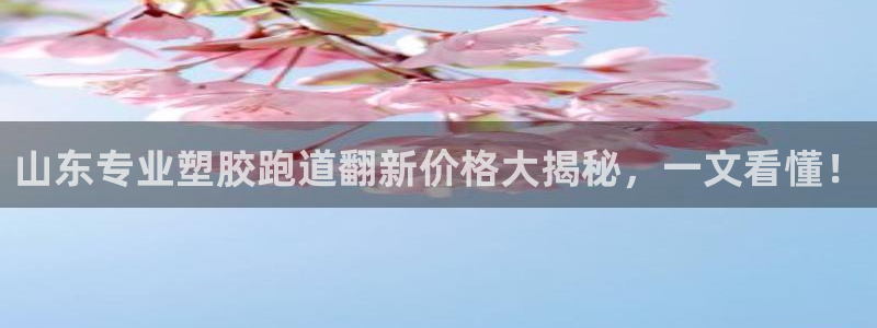 红足网足球直播：山东专业塑胶跑道翻新价格大揭秘，一文看懂！