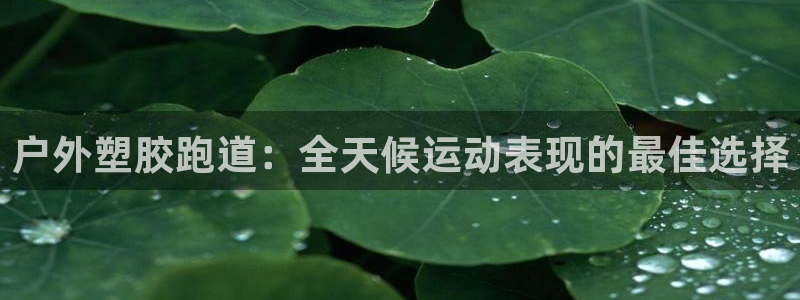 红足一1世66814：户外塑胶跑道：全天候运动表现的最佳选择