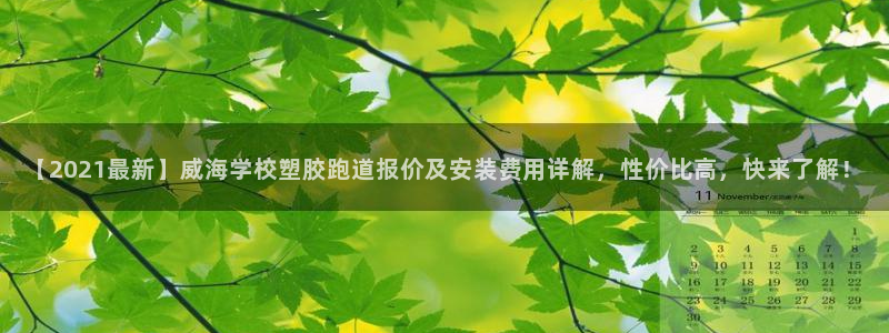 红足一1世手机版新皇冠：【2021最新】威海学校塑胶跑道报价及安装费用详解，性价比高，快来了解！