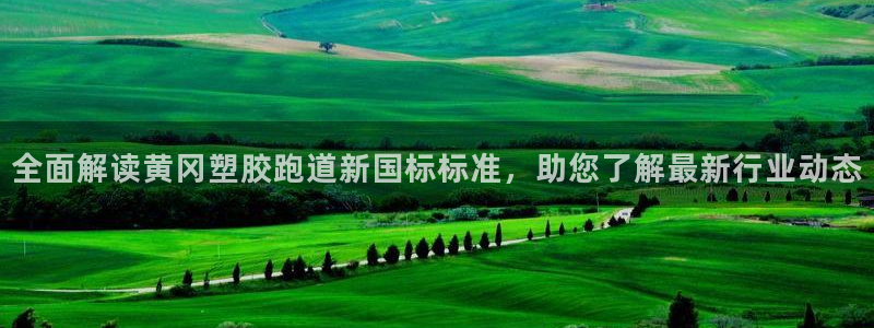 红足1世足球比分预测：全面解读黄冈塑胶跑道新国标标准，助您了解最新行业动态