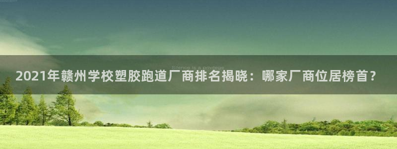 红足一1世官网足球推荐真人：2021年赣州学校塑胶跑道厂商排名揭晓：哪家厂商位居榜首？