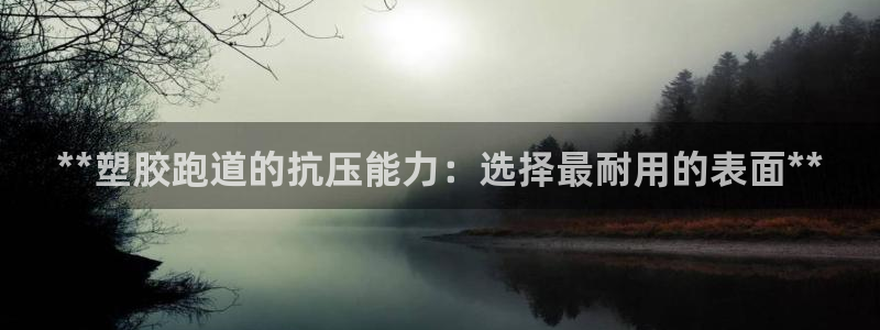 红足1世手机板：**塑胶跑道的抗压能力：选择最耐用的表面**