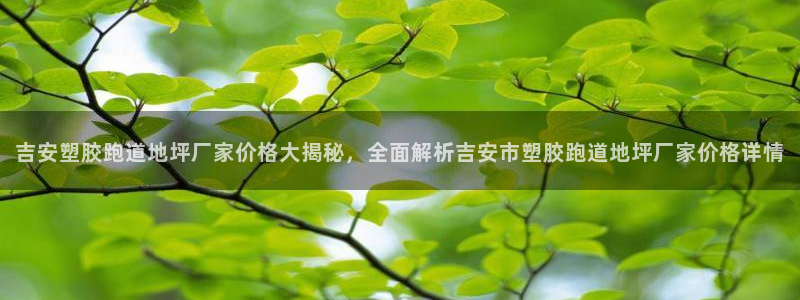 红足一1世手机版赛果：吉安塑胶跑道地坪厂家价格大揭秘，全面解析吉安市塑胶跑道地坪厂家价格详情