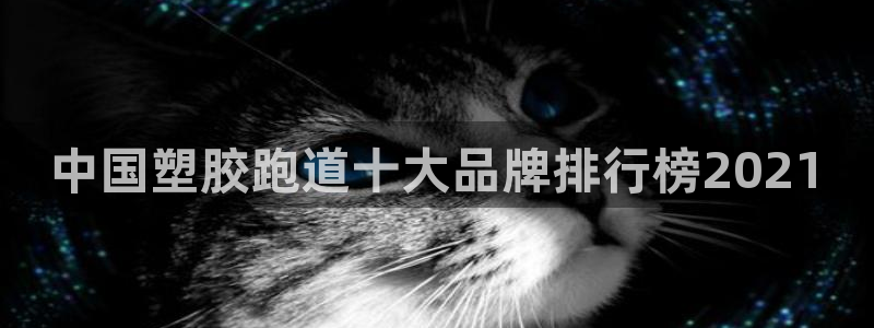 红足一1世66814新宝：中国塑胶跑道十大品牌排行榜2021