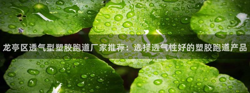 红足一1世手机版新皇冠：龙亭区透气型塑胶跑道厂家推荐：选择透气性好的塑胶跑道产品